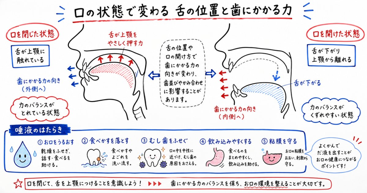 お口ぽかんを放置するリスクとは?歯並びや顎の成長に及ぼす影響